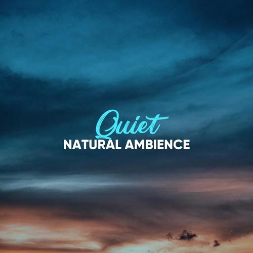 #Quiet Natural Ambience