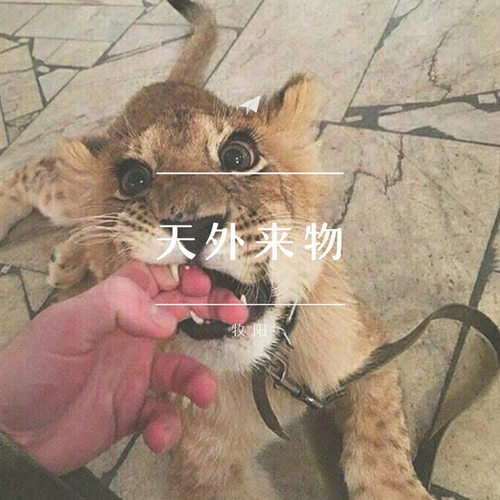 天外来物