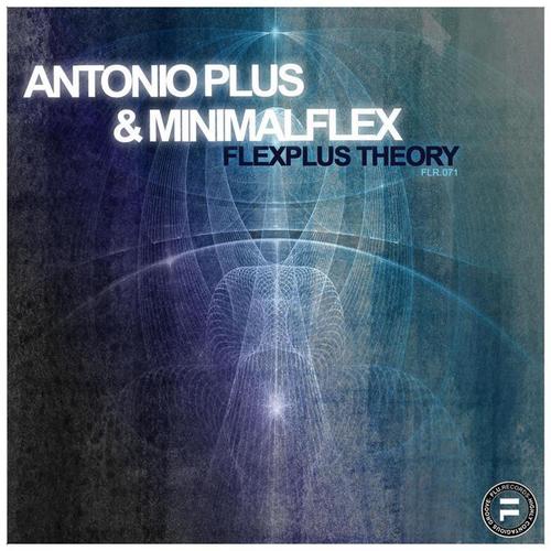 FlexPlus Theory