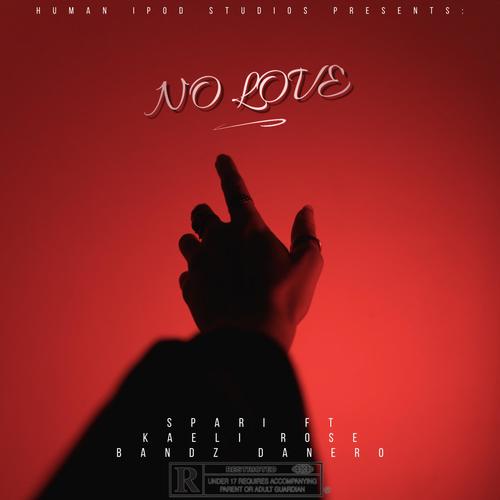 No Love (feat. Kaeli Roselle & Bandz Danero) [Explicit]