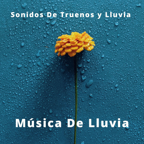 Música De Lluvia: Sonidos De Truenos y Lluvia