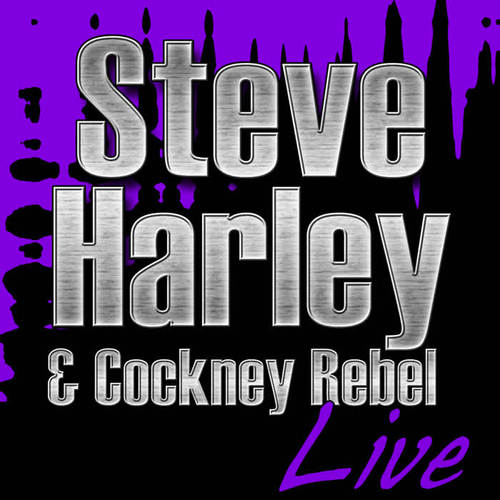 Steve Harley & Cockney Rebel Live