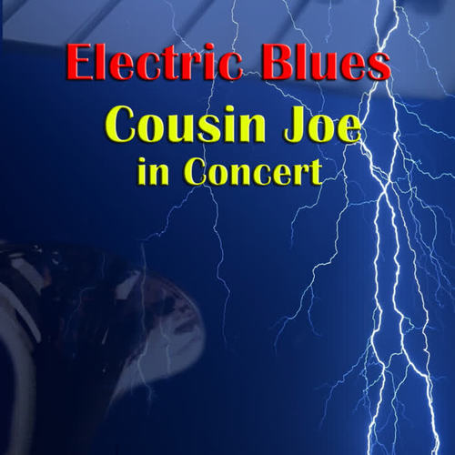 Electric Blues - Cousin Joe In Concert