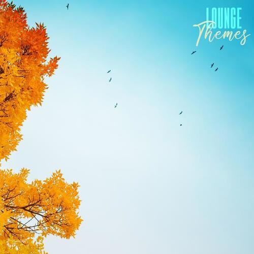 Lounge Themes