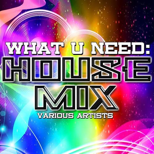 What U Need: House Mix