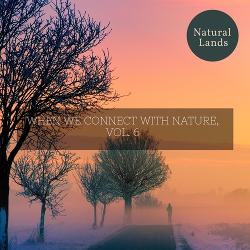 When We Connect with Nature, Vol. 6