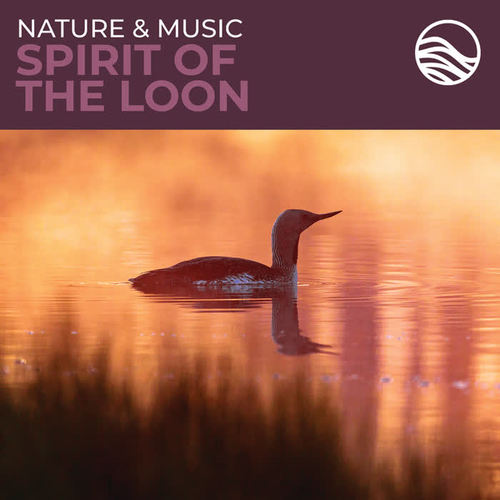 Nature & Music: Spirit Of The Loon