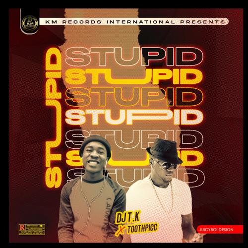 Stupid (feat. Toothpicc) [Explicit]