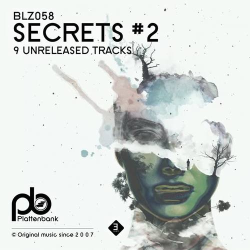 Secrets # 2