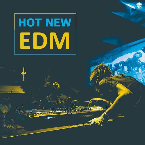 Hot New EDM