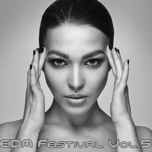 EDM Festival, Vol. 5