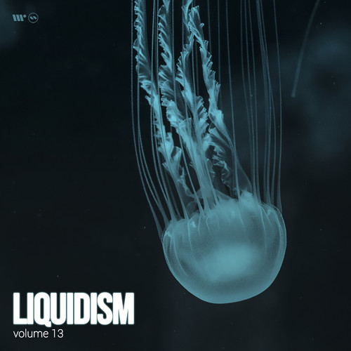 Liquidism, Vol.13