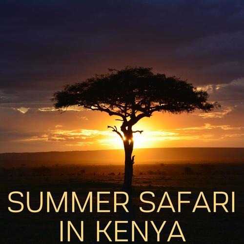 Summer Safari in Kenya