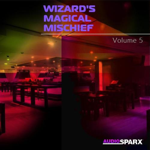 Wizard’s Magical Mischief Volume 5