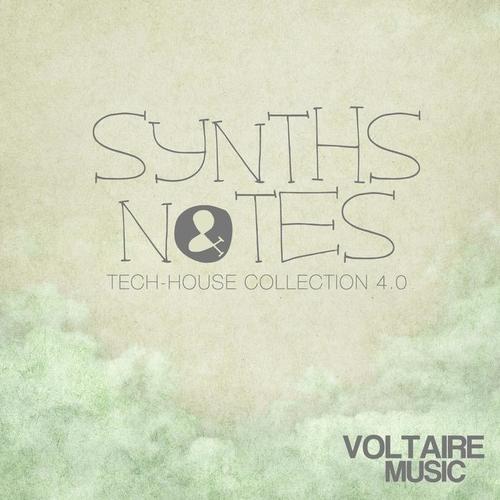 Synths and Notes 4.0 (Tech House Collection)