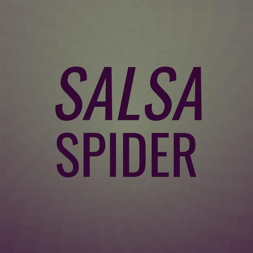 Salsa Spider