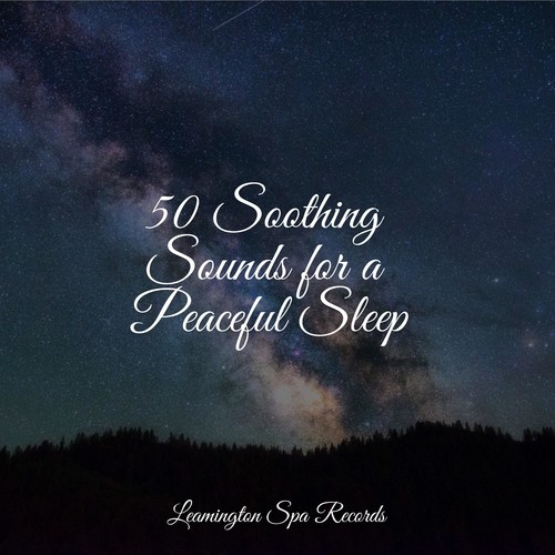 50 Soothing Sounds for a Peaceful Sleep