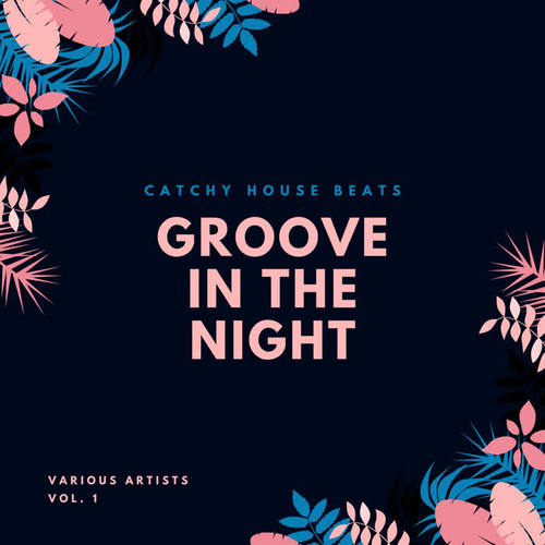 Groove In The Night (Catchy House Beats) , Vol. 1