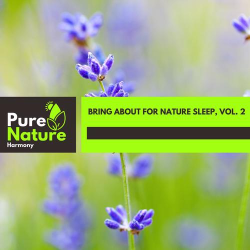 Bring About For Nature Sleep, Vol. 2