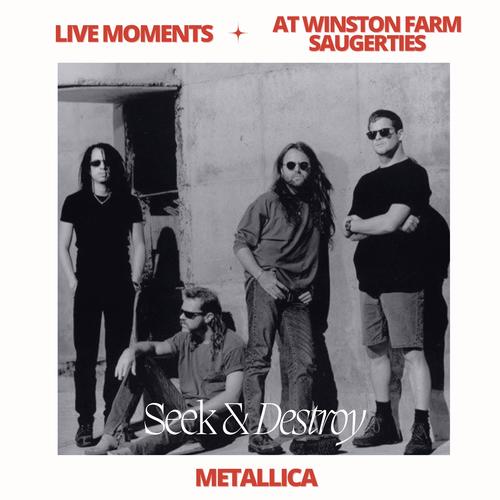 Live Moments (At Winston Farm, Saugerties) - Seek & Destroy (Live)