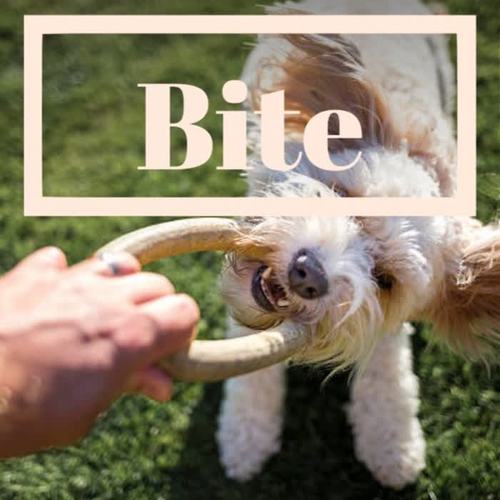 Bite