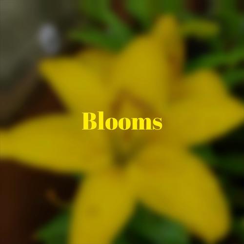 Blooms