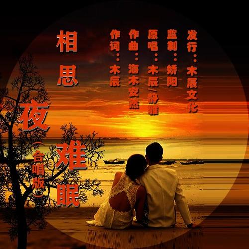 相思夜难眠（合唱版）