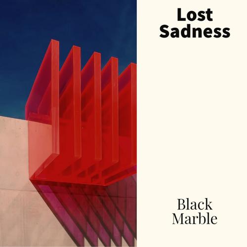 Lost Sadness (Explicit)