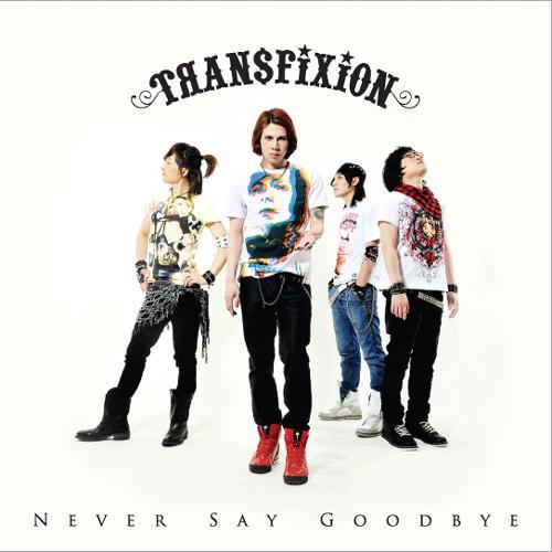 Never Say Goodbye