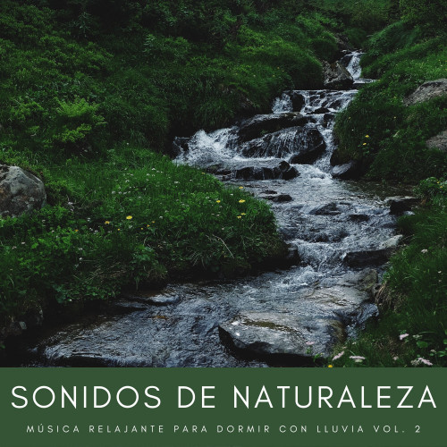 Sonidos De Naturaleza: Música Relajante Para Dormir Con Lluvia Vol. 2