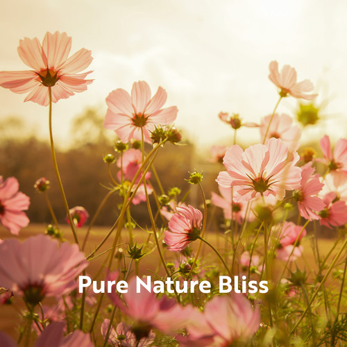 Pure Nature Bliss (Mother Nature and Water Sounds for Stress Relief, Deep Relaxation, Outdoor Meditation)