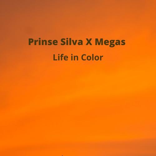 Life in Color (feat. Megas) [Radio Edit]