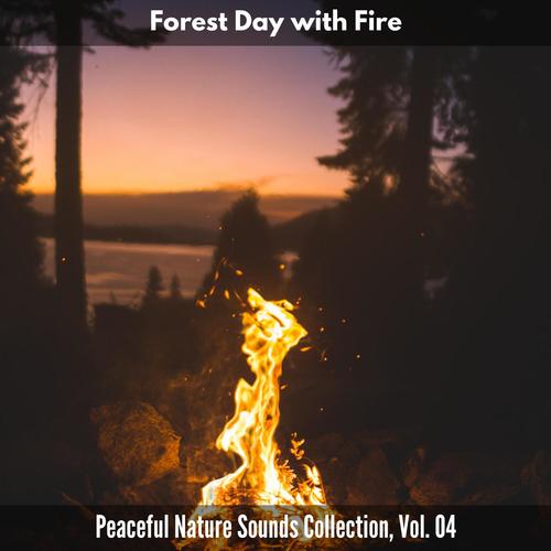 Forest Day with Fire - Peaceful Nature Sounds Collection, Vol. 04