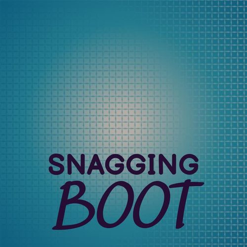 Snagging Boot