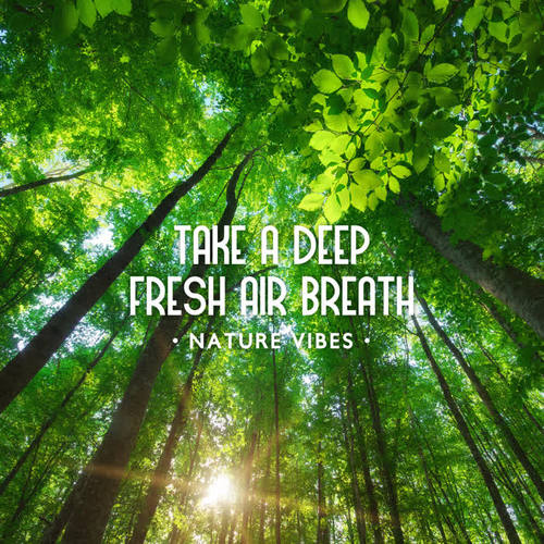 Take a Deep Fresh Air Breath - Nature Vibes