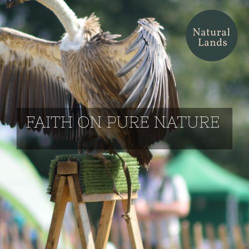 Faith on Pure Nature