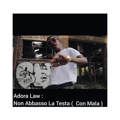 Non Abbasso La Testa (feat. Mala)