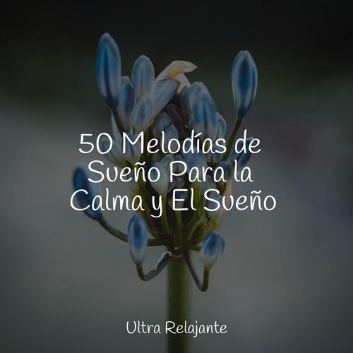 50 Melodías de Sueño Para la Calma y El Sueño