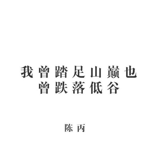 我曾踏足山巅也曾跌落低谷