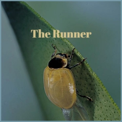 The Runner