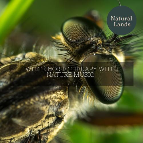 White Noise Therapy with Nature Music