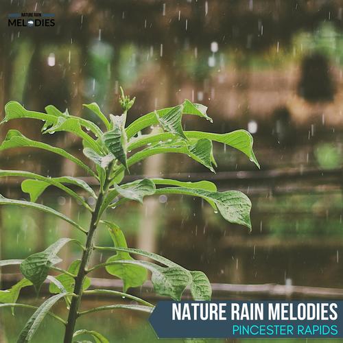 Nature Rain Melodies - Pincester Rapids