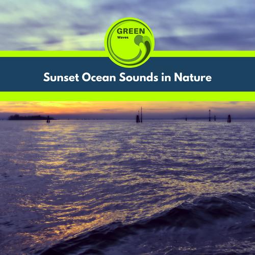 Sunset Ocean Sounds in Nature