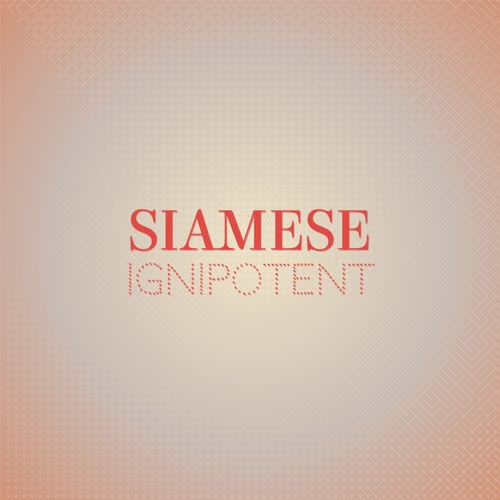 Siamese Ignipotent