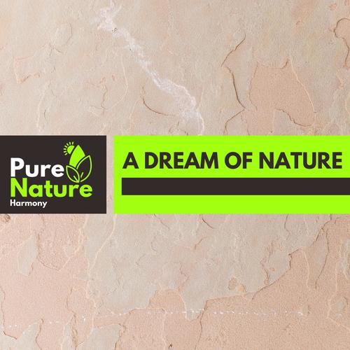 A Dream of Nature