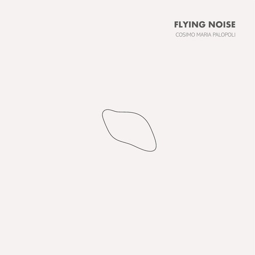 Flying Noise