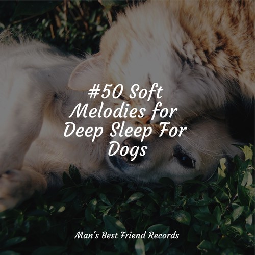 #50 Soft Melodies for Deep Sleep For Dogs