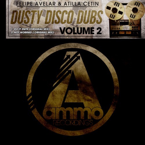 Dusty Disco Dubs, Vol. 2