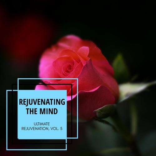 Rejuvenating The Mind - Ultimate Rejuvenation, Vol. 5