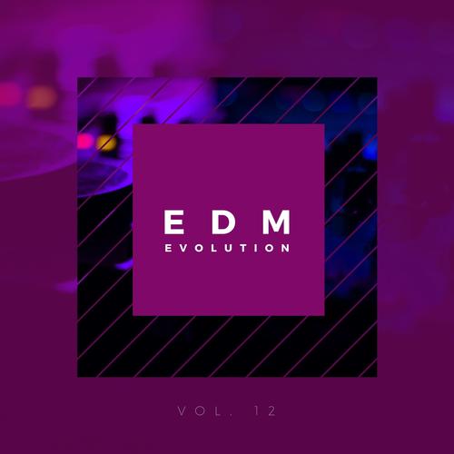 EDM Evolution - Vol. 12